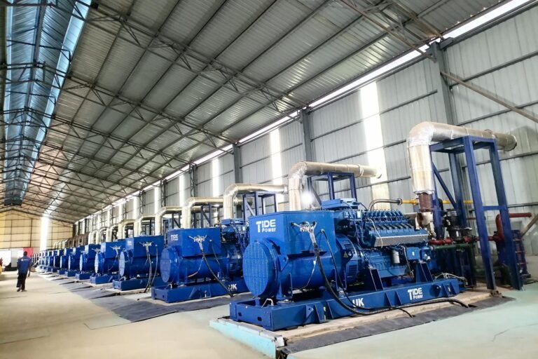 Cheers for the completion of the first phase of the Gas Project in Africa