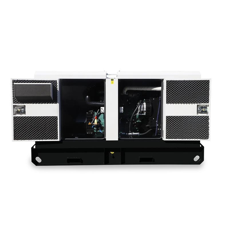 P Series image 4