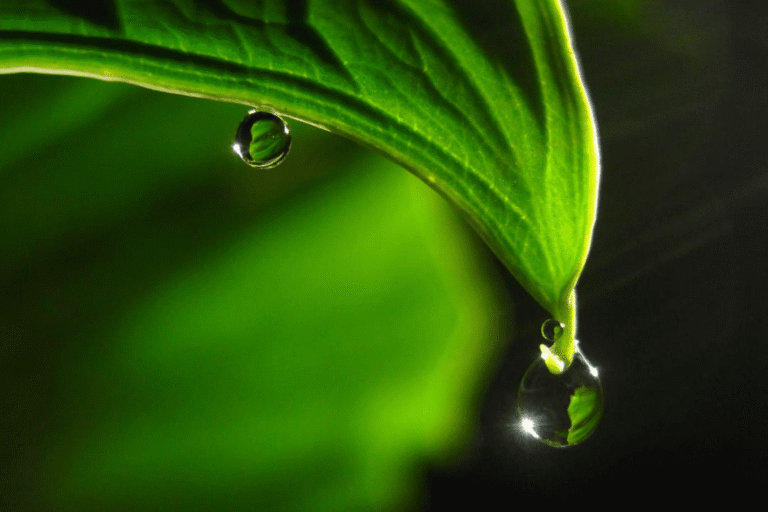 How to waterproof diesel gensets in spring and summer when there is a lot of rain?
